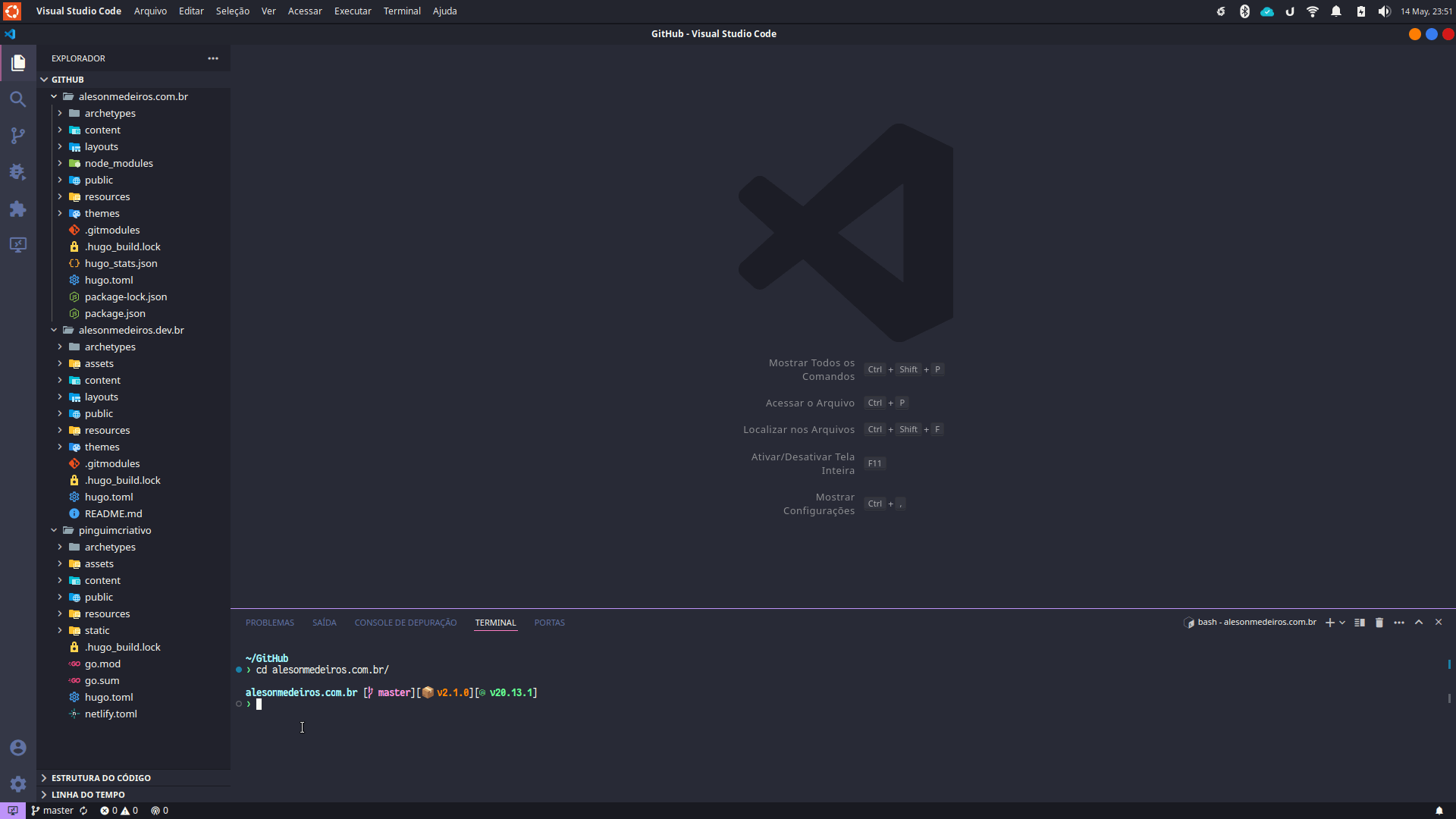 Terminal dentro do VsCode mostrando as informações do projeto